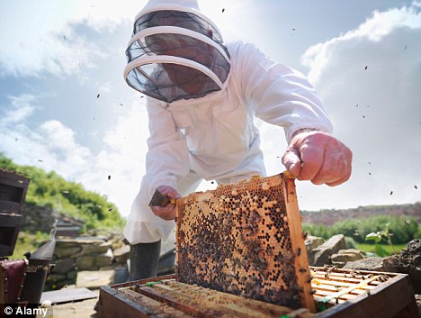 Image for Mobile Phone-Induced Honeybee Worker Piping
